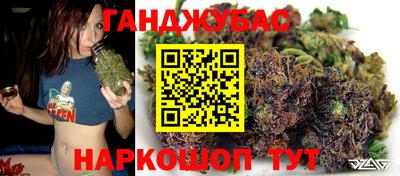 прущие грибы Пенза