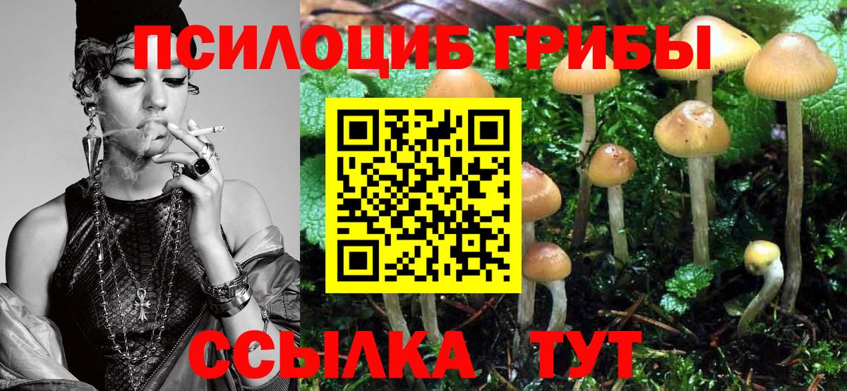 Псилоцибиновые грибы MAGIC MUSHROOMS Таганрог